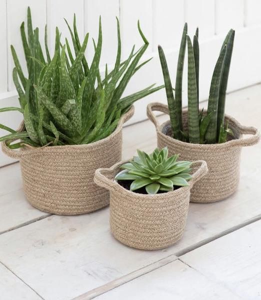 Green Scape Rope Planter